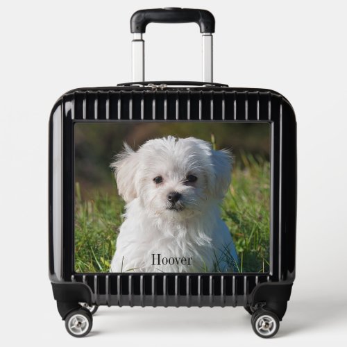 Photo Upload for Pet Pilot Case or Carry On Luggage