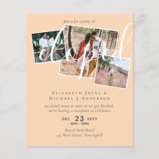 PHOTO We Eloped Announcement Reception Party