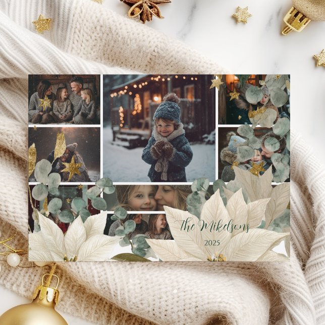 Photo White Poinsettia Holiday Party (Creator Uploaded)