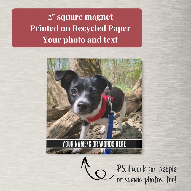 Photo with Customization at Bottom Modern Magnet (Your custom text and pet photo make this square magnet a perfect, inexpensive gift.)