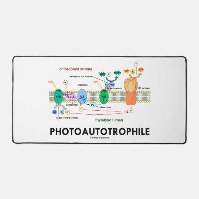 Photoautotrophile Photosynthesis Desk Mat (Front)