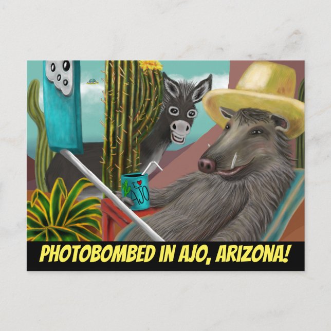Photobombed in Ajo Arizona, Arizona Postcard (Front)