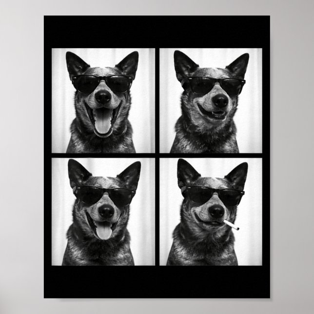 Photobooth Australian Cattle Dog Funny Dog Selfie Poster (Front)