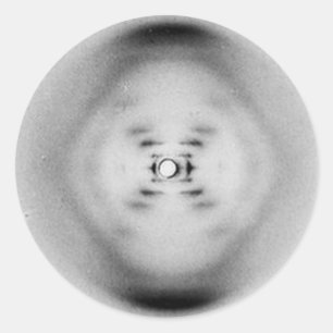 Photograph 51 by Rosalind Franklin DNA Sticker