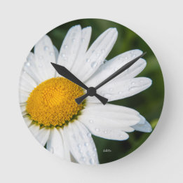 photograph, a margueritte, make green round clock