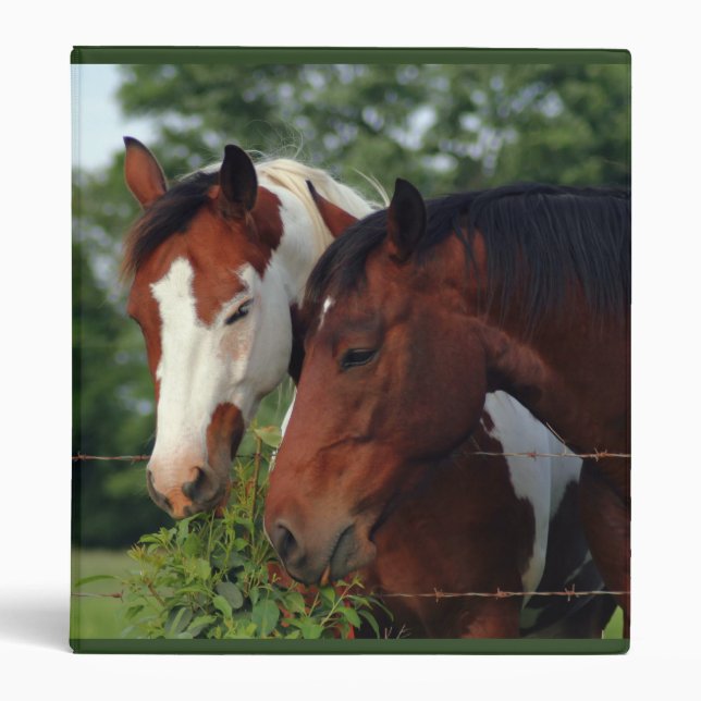 Photograph Horse Binders (Front)