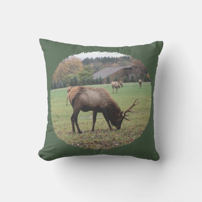 Photograph Large Male Elk Antlers Grazing Barn Outdoor Pillow (Front)