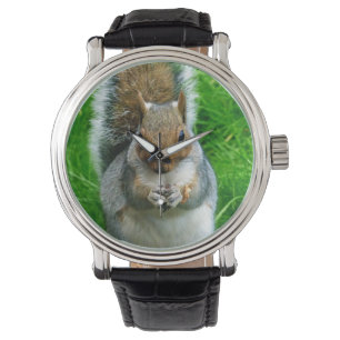 Photograph of a Cute Squirrel in a garden Watch