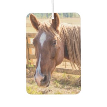 Photograph Of A Horse In The Sunlight On A Farm Air Freshener by ICandiPhoto at Zazzle
