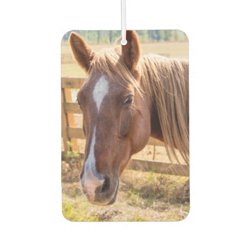 Photograph of a Horse in the Sunlight on a Farm Air Freshener