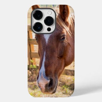 Photograph Of A Horse In The Sunlight On A Farm Case-mate Iphone 14 Pro Case by ICandiPhoto at Zazzle
