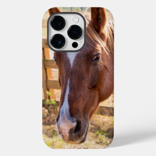 Photograph of a Horse in the Sunlight on a Farm Case_Mate iPhone 14 Pro Case