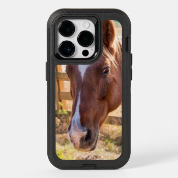 Photograph Of A Horse In The Sunlight On A Farm Otterbox Iphone 14 Pro Case by ICandiPhoto at Zazzle