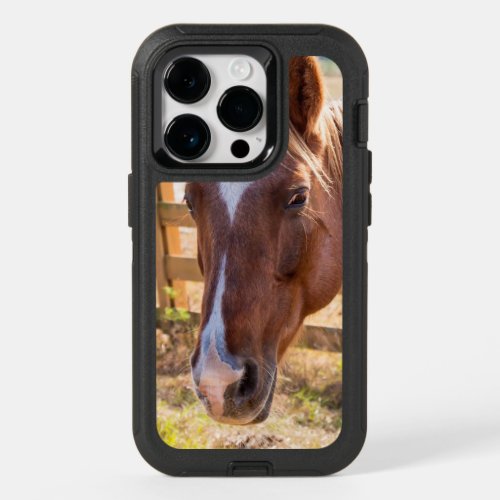 Photograph of a Horse in the Sunlight on a Farm OtterBox iPhone 14 Pro Case
