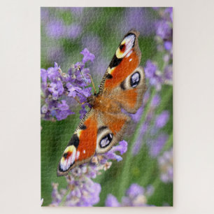 Photograph of a Peacock Butterfly on a Flower Jigsaw Puzzle