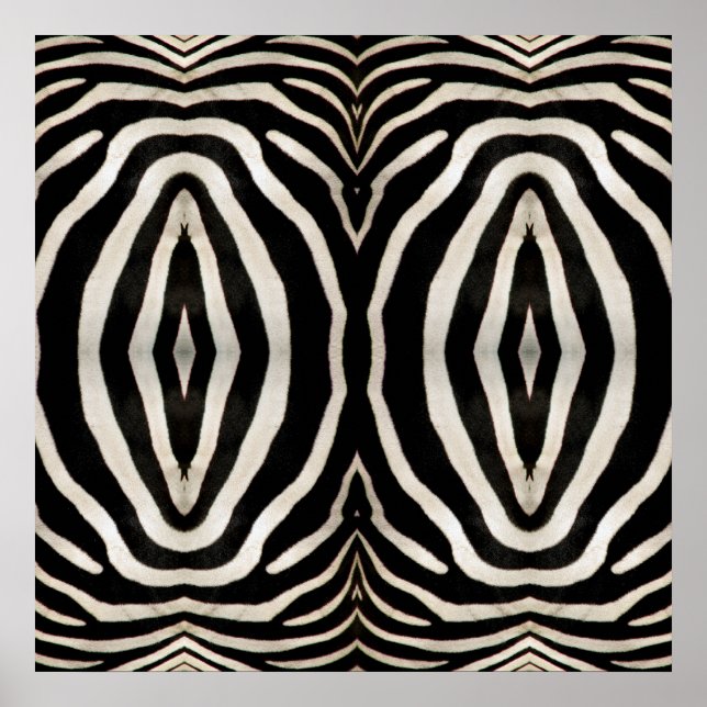 Photograph of a real Zebra's Fur Poster (Front)
