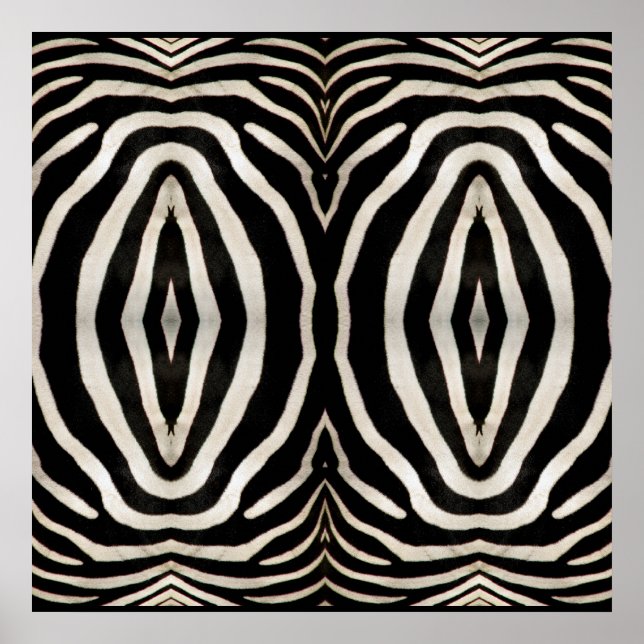 Photograph of a real Zebra's Fur Poster (Front)