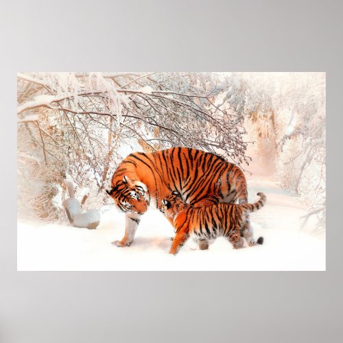 Photograph of a tiger and cub playing in the snow poster