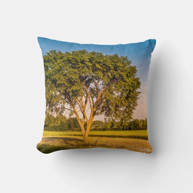 photograph of a tree in fields throw pillow (Front)
