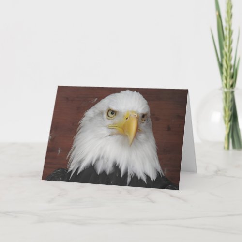 Photograph of an Eagle I Took in Dubuque Iowa Card