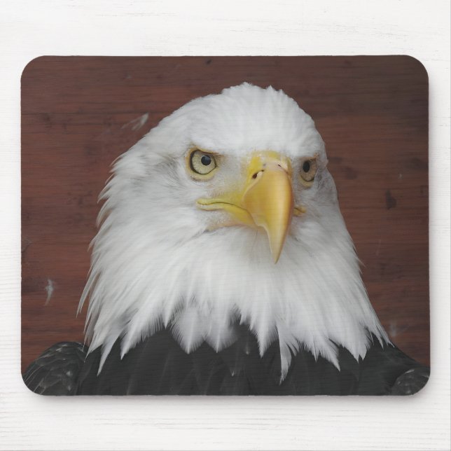 Photograph of an Eagle I Took in Dubuque, Iowa Mouse Pad (Front)