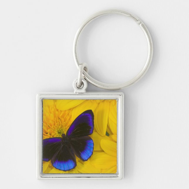 Photograph of Butterfly Keychain (Front)