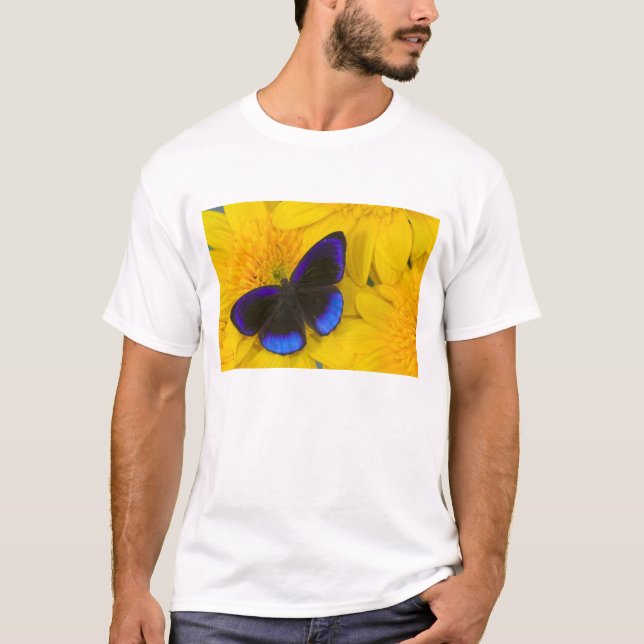Photograph of Butterfly T-Shirt (Front)