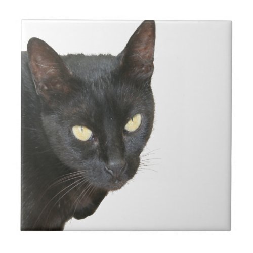 Photograph Of Jet Black Cat With Yellow Eyes Ceramic Tile