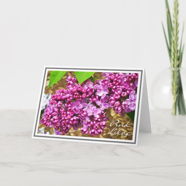 Photograph of Pink Lilac Flower Cluster Card (Front)