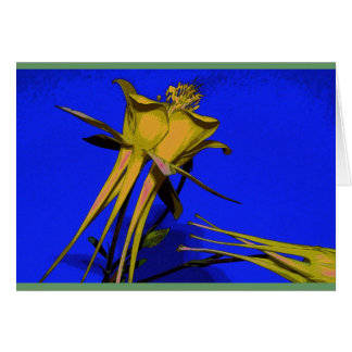 Photograph of yellow columbine cards
