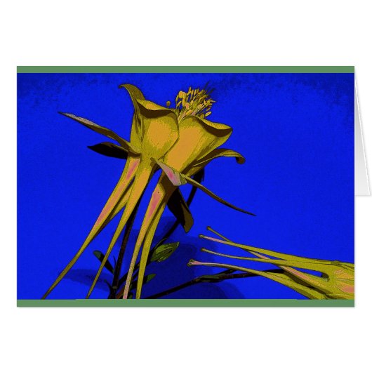 Photograph of yellow columbine cards (Front Horizontal)