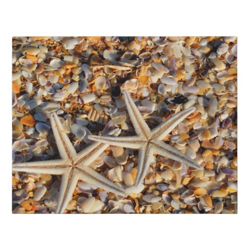 Photograph _ Sea shells on the beach Faux Canvas Print