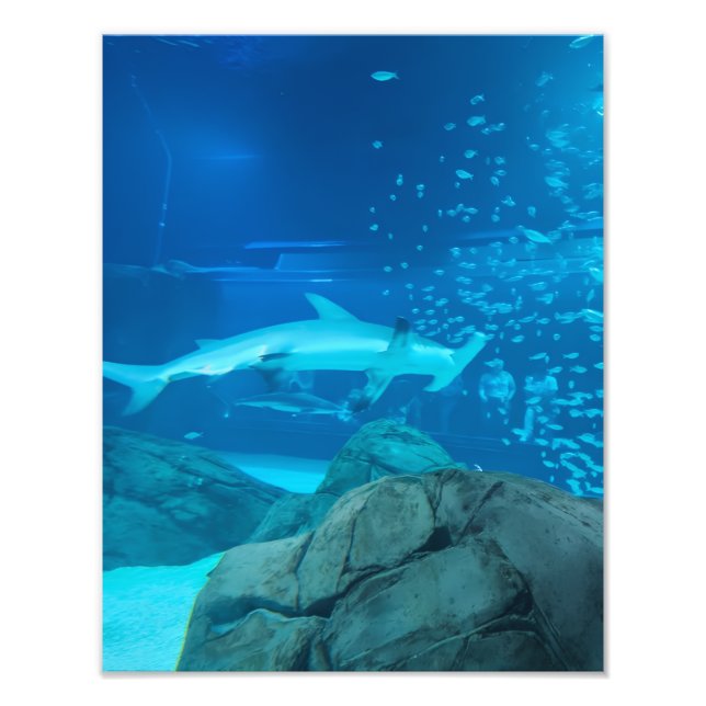 Photograph #Y044 on MEDIUM SIZE Poster (Front)