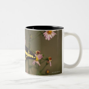 Photographed on a sunny day with filtered light. Two-Tone coffee mug