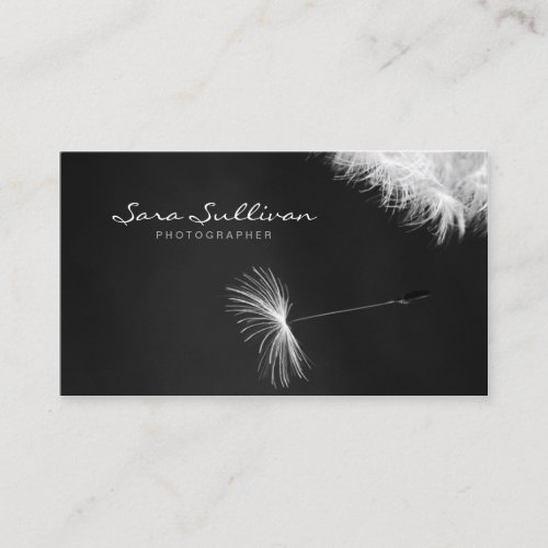 Photographer Business Card Dandelion Closeup