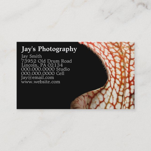 Photographer Business Cards (Front)