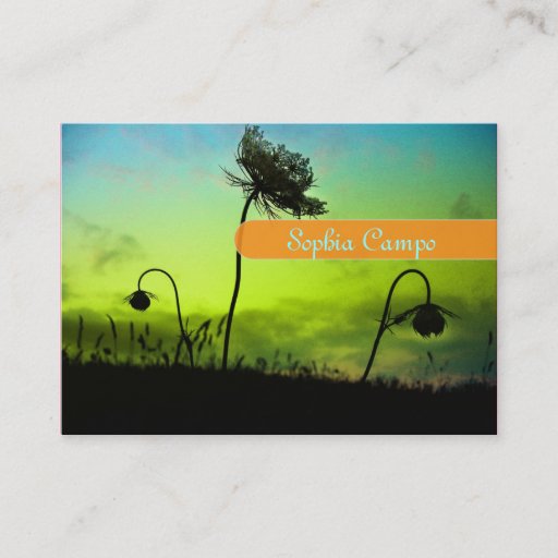 Customizable Photographer businesscards business card