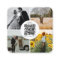 Photographer Photos QR Code Social Media Icons 
