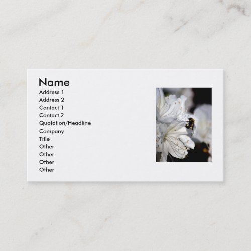 Photographer's business card
