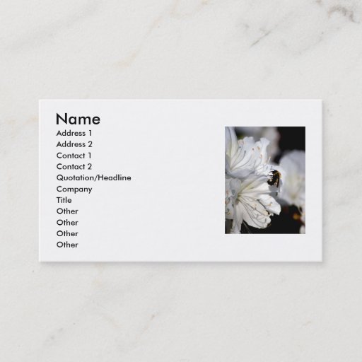 Customizable Photographer's business card