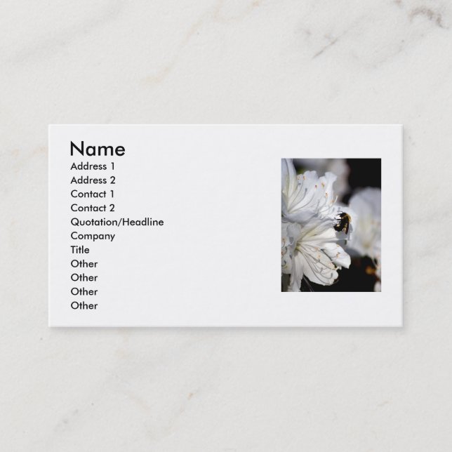 Photographer's business card (Front)