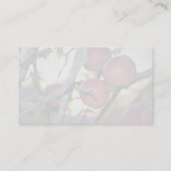Photographer's Watermark Photo Business Card by template_frames at Zazzle