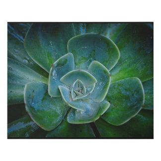 Photographic Art - Evergreen Plant Faux Canvas Print