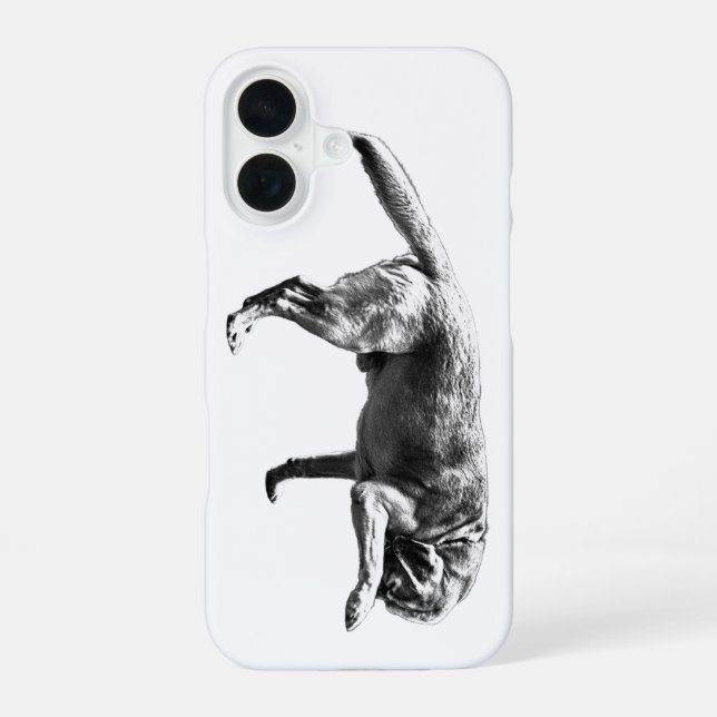 Photographic Charm Iphone Case (Back)
