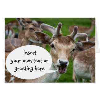 Photographic image of deer with speech bubble cards