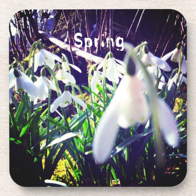 Photographic Snowdrops by River Severn / Hafren Beverage Coaster (Front)