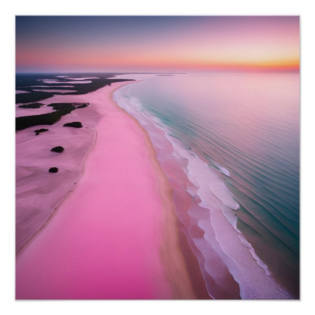 Photography Beach Esthetic Sunset Neutral Pink Poster (Front)