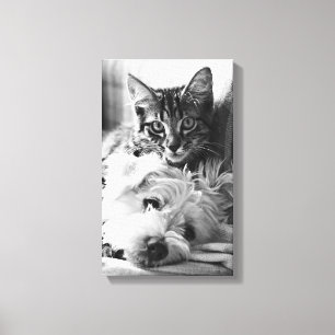 Photography Best of Friends Canvas Print