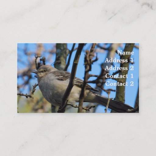 Customizable Photography Business Card