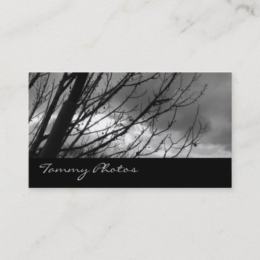 Customizable Photography Business Card